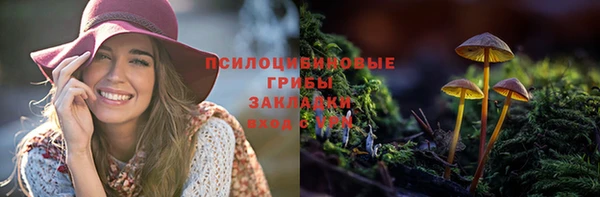 МДПВ Белокуриха