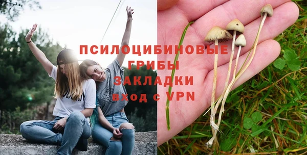 МДПВ Белокуриха