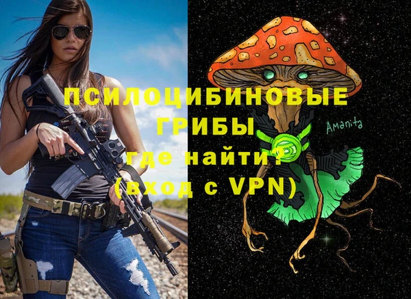 крисы Белоозёрский